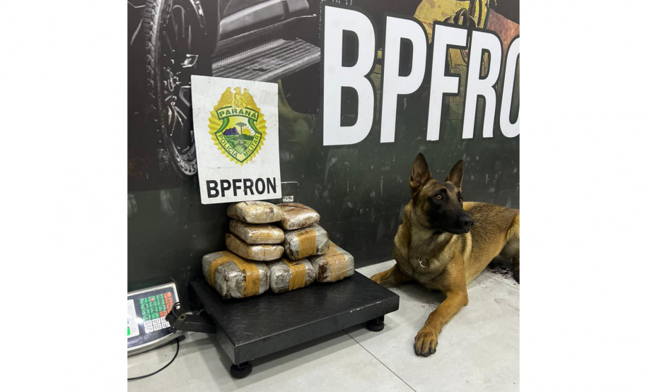 Operação Scutum Limes: PMPR reforça segurança na fronteira e gera prejuízo milionário ao crime