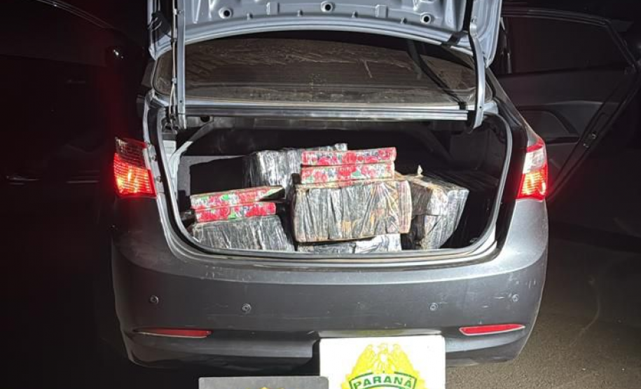 PMPR apreende armas e mais de 300 quilos de maconha em ações na Fronteira