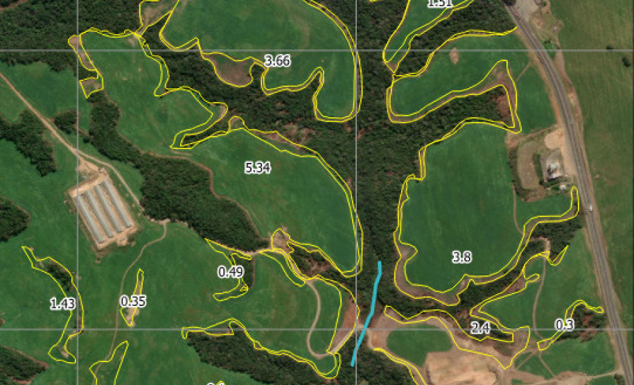 PMPR multa proprietária em R$ 330 mil por plantio ilegal em área embargada em Tibagi