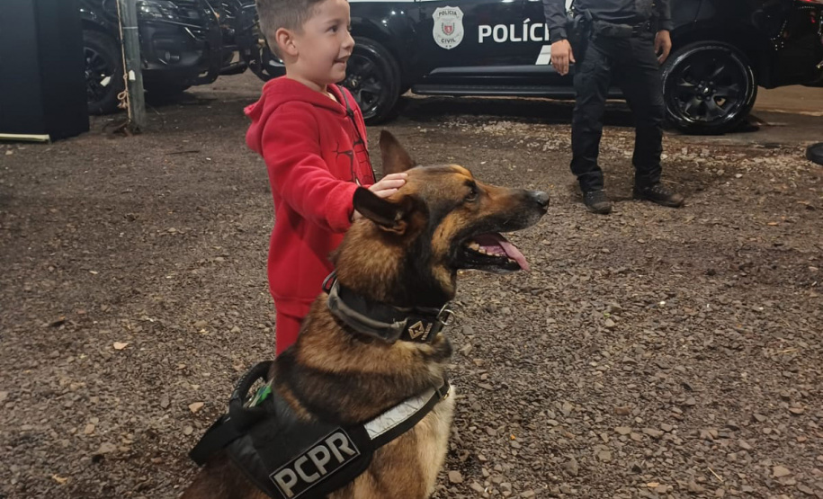 PCPR na Comunidade leva atendimento a moradores de cinco cidades nesta semana