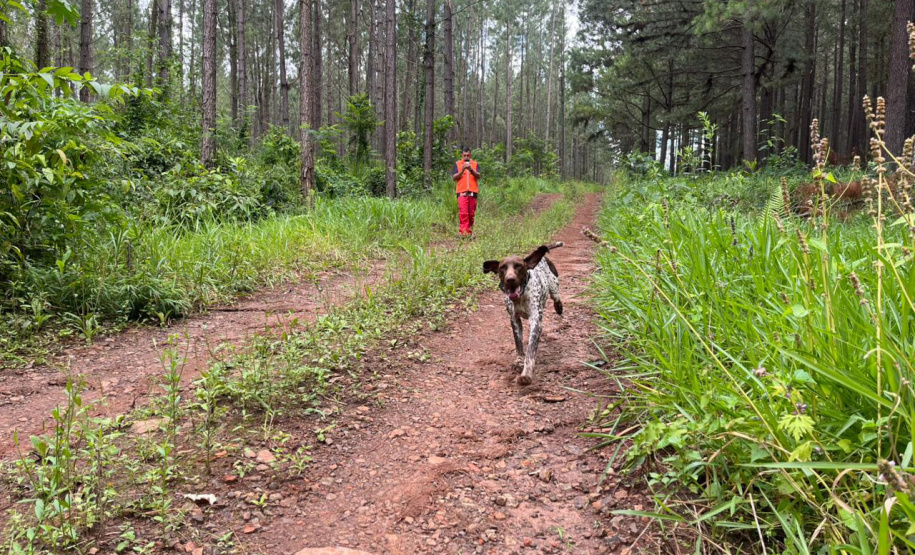 CBMPR realiza 2ª Certificação Nacional de Cães de Busca e Resgate em Cianorte