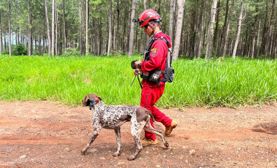 CBMPR realiza 2ª Certificação Nacional de Cães de Busca e Resgate em Cianorte