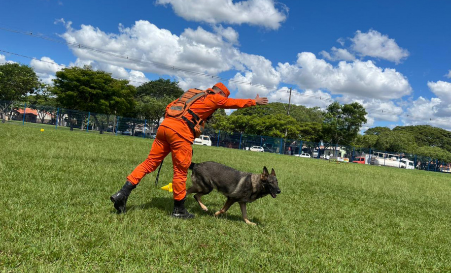CBMPR realiza 2ª Certificação Nacional de Cães de Busca e Resgate em Cianorte