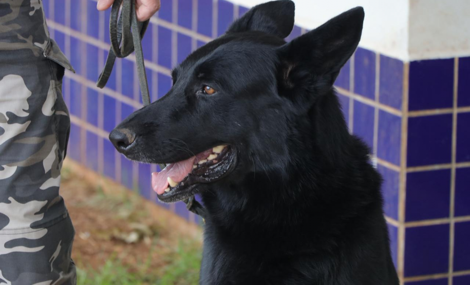 PMPR realiza ação interativa com crianças da CMEI Dona Laura em Rio Bonito do Iguaçu