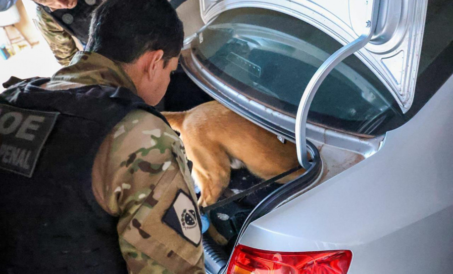 Polícias do Paraná cumprem 109 mandados em cinco estados contra organização criminosa