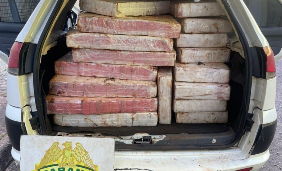 PMPR, PCPR e PF apreendem mais de 1 tonelada de maconha em Santa Helena