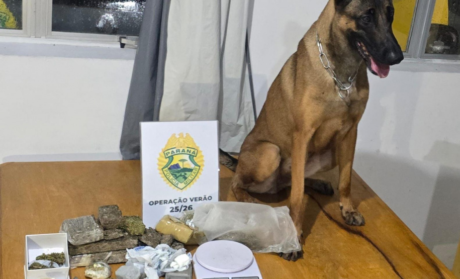 PMPR prende três pessoas e apreende drogas em Pontal do Paraná com apoio de cão de faro