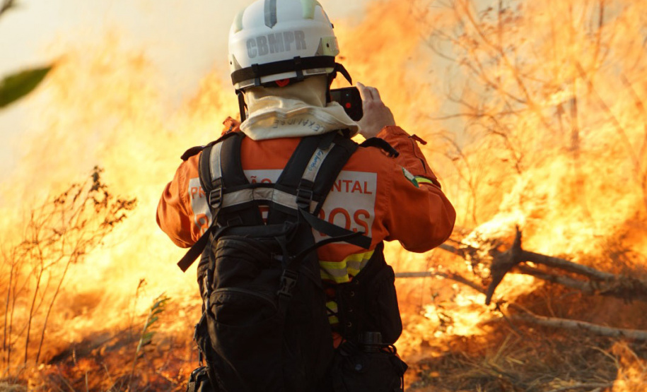 Chuvas e conscientização da população reduzem em 41% incêndios florestais no Paraná em 2025