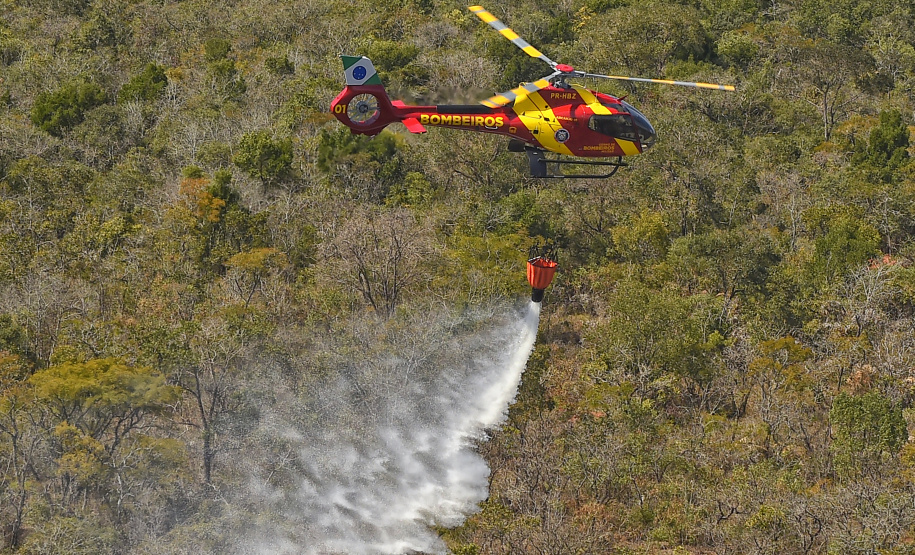 Chuvas e conscientização da população reduzem em 41% incêndios florestais no Paraná em 2025