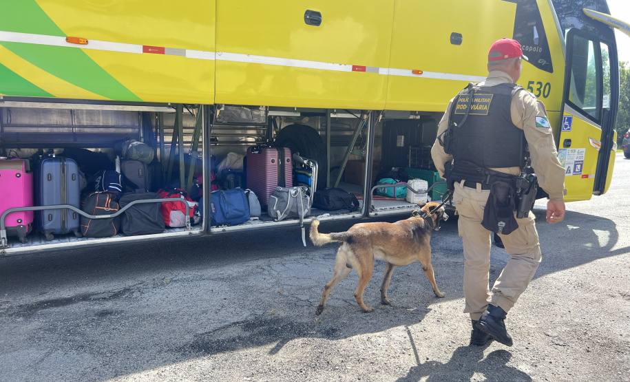 PMPR reforça policiamento nas rodovias estaduais durante Réveillon