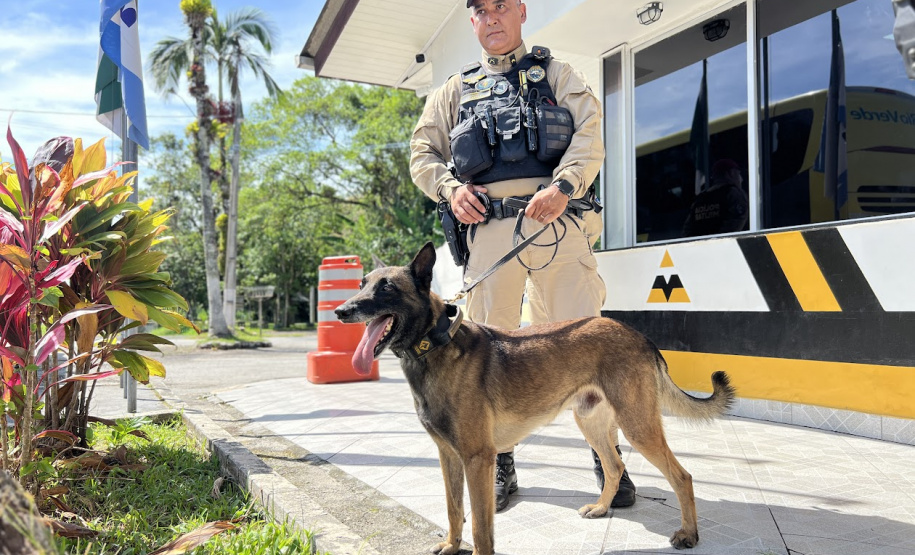 PMPR reforça policiamento nas rodovias estaduais durante Réveillon