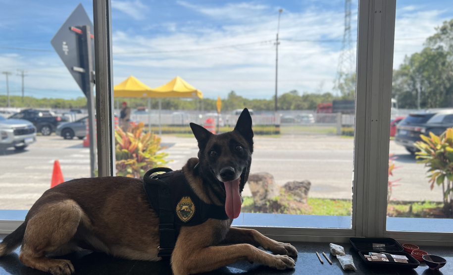 PMPR reforça policiamento nas rodovias estaduais durante Réveillon