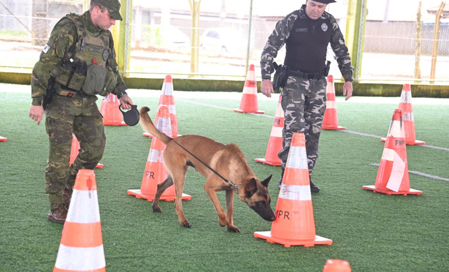 PMPR recebe kits científicos de pesquisadores para aumentar eficácia do treinamento de cães