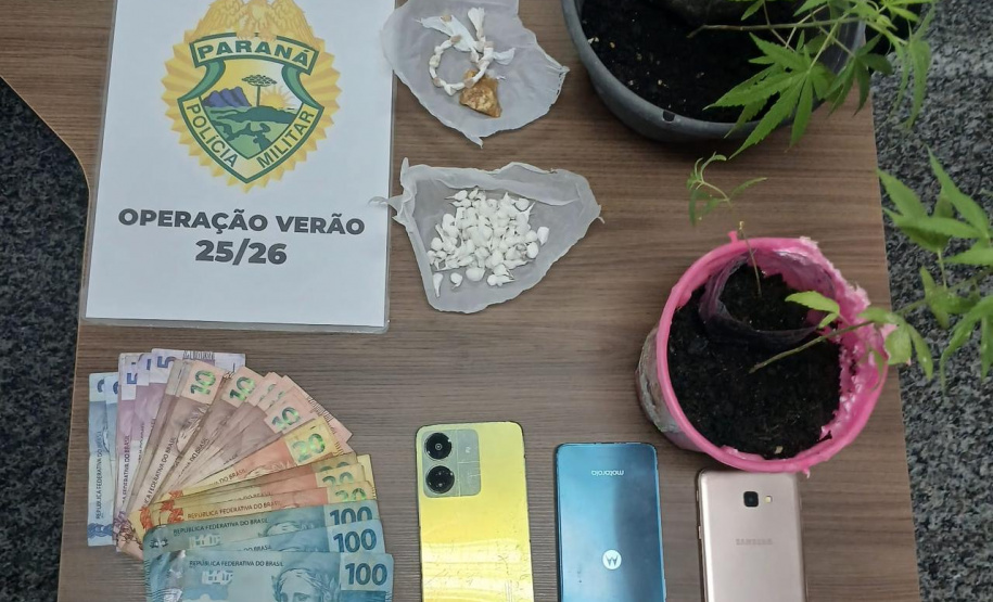 PMPR prende homem e apreende pés de maconha em Matinhos