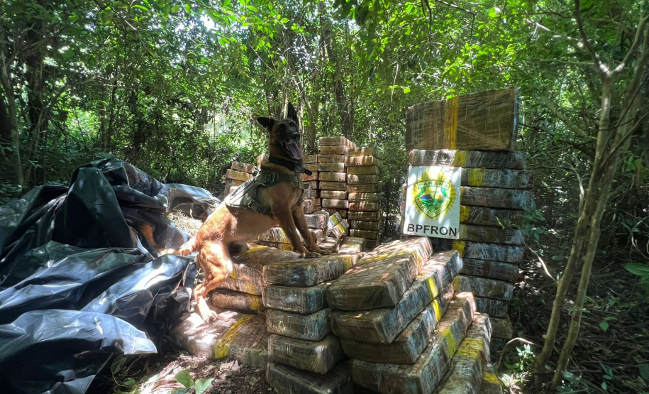 PMPR apreende 1,5 tonelada de maconha escondida em área de mata em Santa Helena