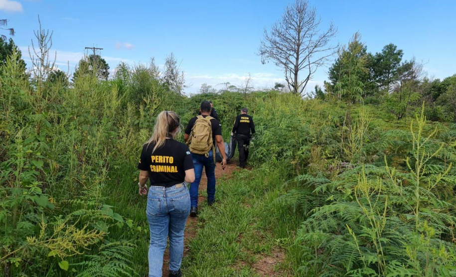 Dia do Perito: investimentos em ciência garantem investigações criminais rigorosas