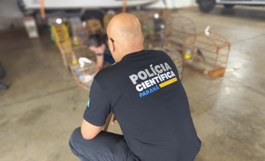 Dia do Perito: investimentos em ciência garantem investigações criminais rigorosas