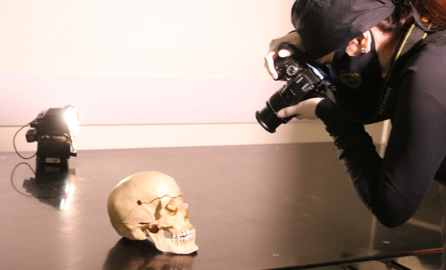 Dia do Perito: investimentos em ciência garantem investigações criminais rigorosas