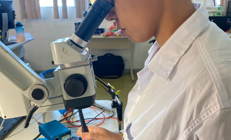 Perícia na era digital: trabalho da Polícia Científica cresce para elucidar crimes cibernéticos