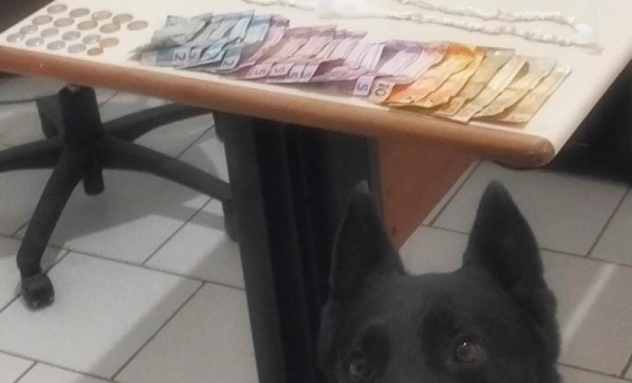 Cão farejador da PMPR encontra 110 pedras de crack durante abordagem em Guaratuba