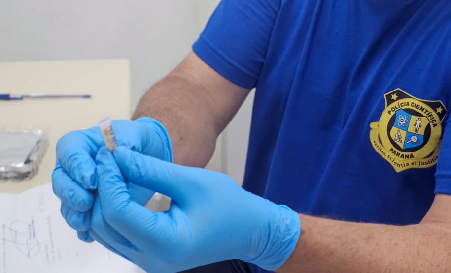 Polícia Científica instala posto avançado de perícias no Litoral durante o Verão Maior Paraná