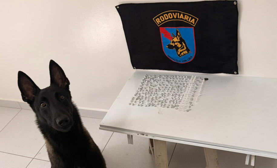 Equipe da PMPR prende homem com 289 unidades de cocaína e crack com o auxílio de cão farejador