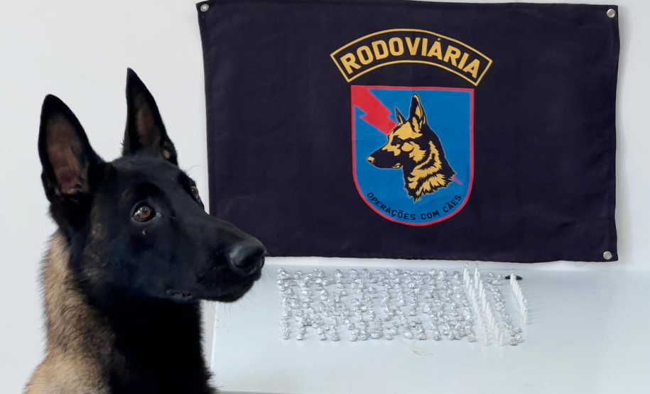 Equipe da PMPR prende homem com 289 unidades de cocaína e crack com o auxílio de cão farejador