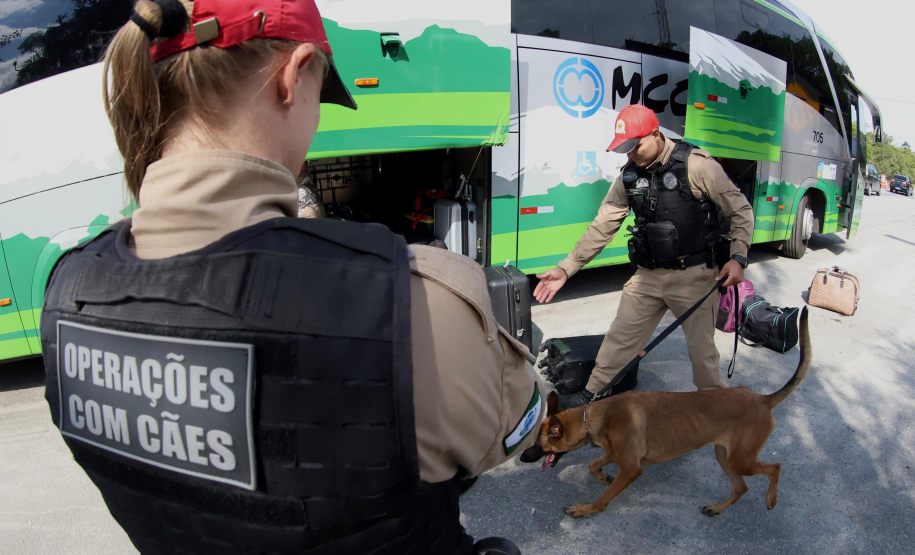 PMPR realiza operação contra o tráfico de drogas em rodovia de Pontal do Paraná