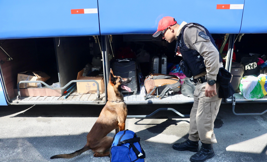 PMPR realiza operação contra o tráfico de drogas em rodovia de Pontal do Paraná