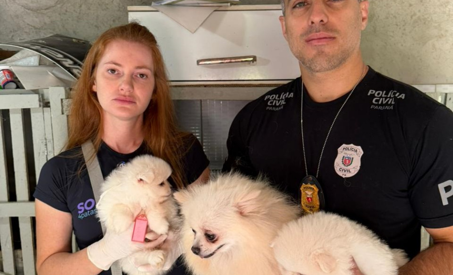 PCPR e PCIPR resgatam 50 cães em situação de maus-tratos em Piraquara