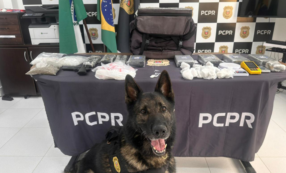 PMPR e PCPR apreendem quase 150 toneladas de drogas com apoio de cães em 2025