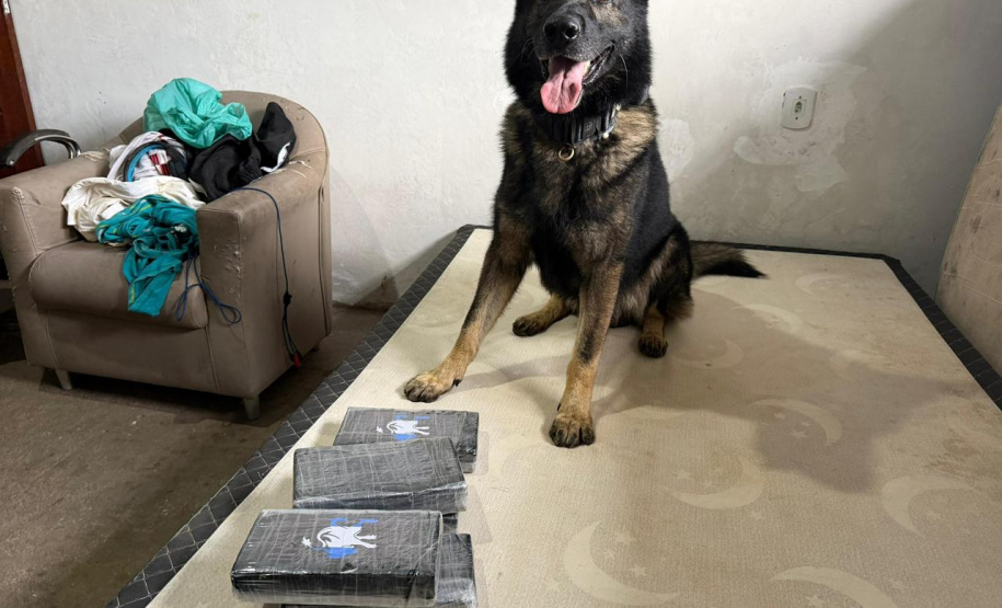 PCPR identifica envolvidos, prende mandante de duplo homicídio e apreende drogas em Matinhos