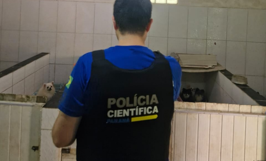 PCPR e PCIPR resgatam 50 cães em situação de maus-tratos em Piraquara