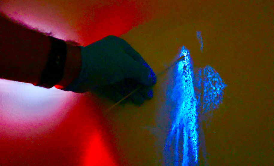Luminol reforça atuação da Polícia Científica na identificação de vestígios ocultos