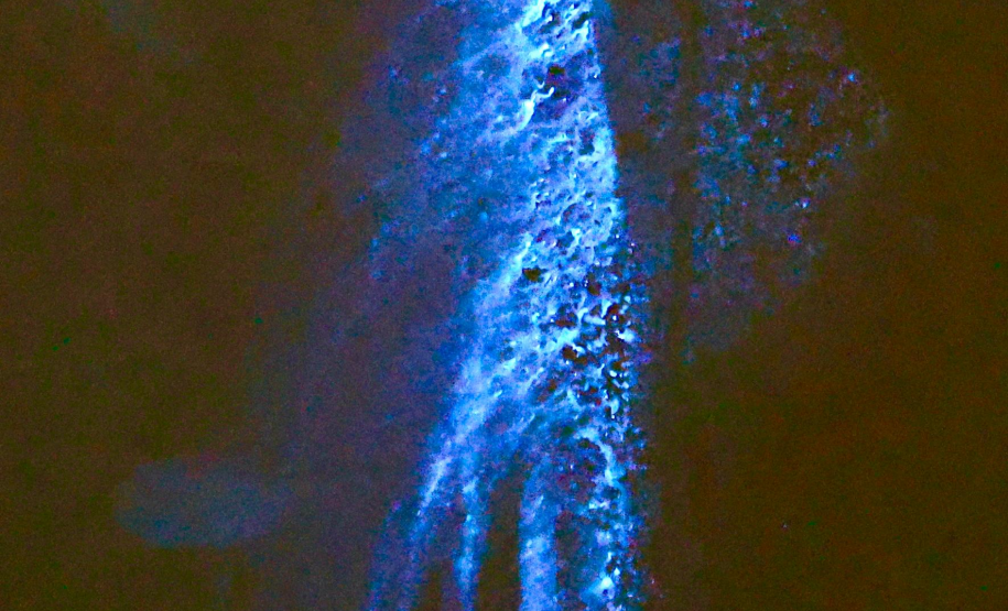 Luminol reforça atuação da Polícia Científica na identificação de vestígios ocultos