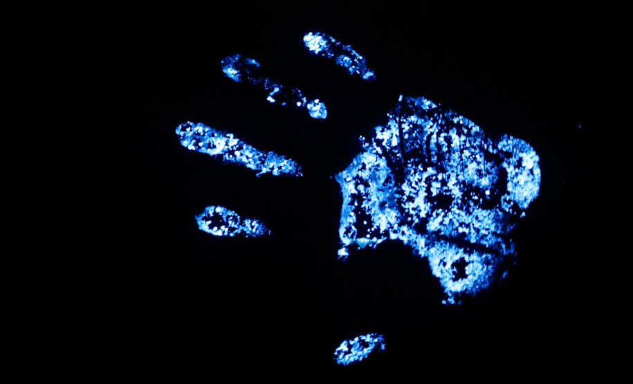 Luminol reforça atuação da Polícia Científica na identificação de vestígios ocultos