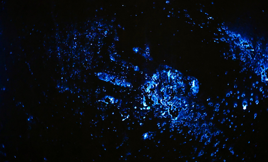 Luminol reforça atuação da Polícia Científica na identificação de vestígios ocultos