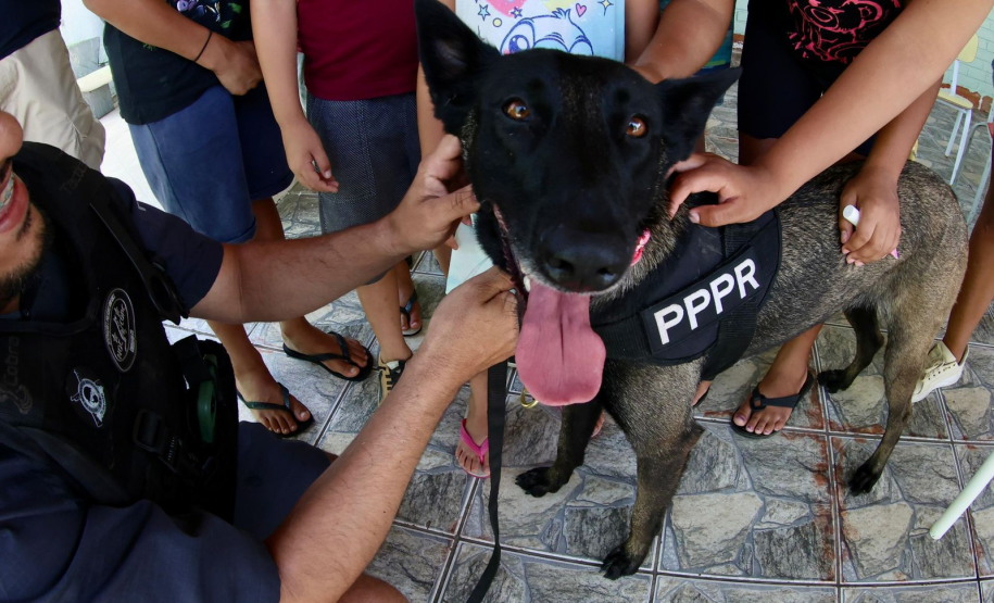 Cães da Polícia Penal reforçam segurança no Litoral durante o Verão Maior Paraná