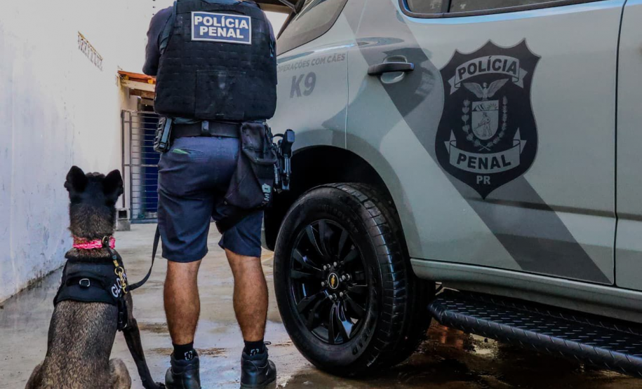 Cães da Polícia Penal reforçam segurança no Litoral durante o Verão Maior Paraná