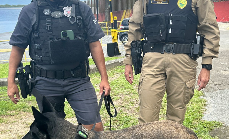 Forças de segurança realizam ação integrada com cães de faro na balsa de Guaratuba