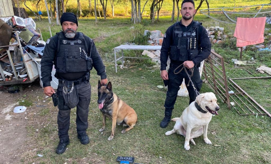 Preparo e tecnologia: Setor de Operações Especiais da Polícia Penal completa 12 anos