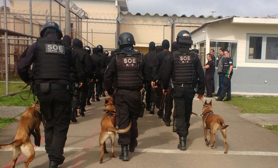 Preparo e tecnologia: Setor de Operações Especiais da Polícia Penal completa 12 anos