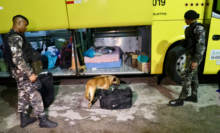 Forças de segurança promovem fiscalização integrada com apoio de cães no Litoral