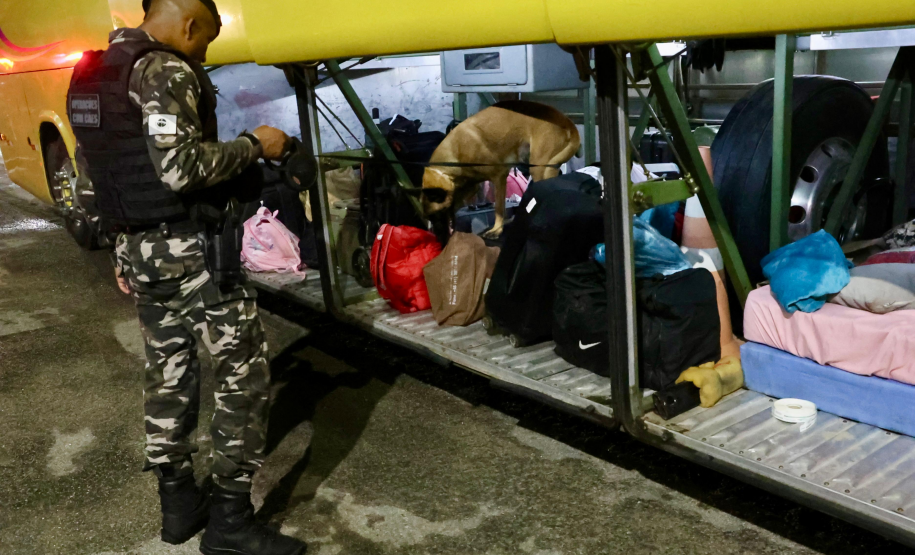 Forças de segurança promovem fiscalização integrada com apoio de cães no Litoral