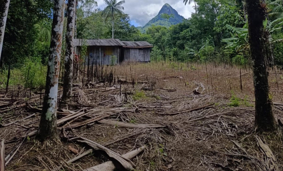 Operação ambiental da PMPR no Superagui destrói estruturas ilegais na APA de Guaraqueçaba