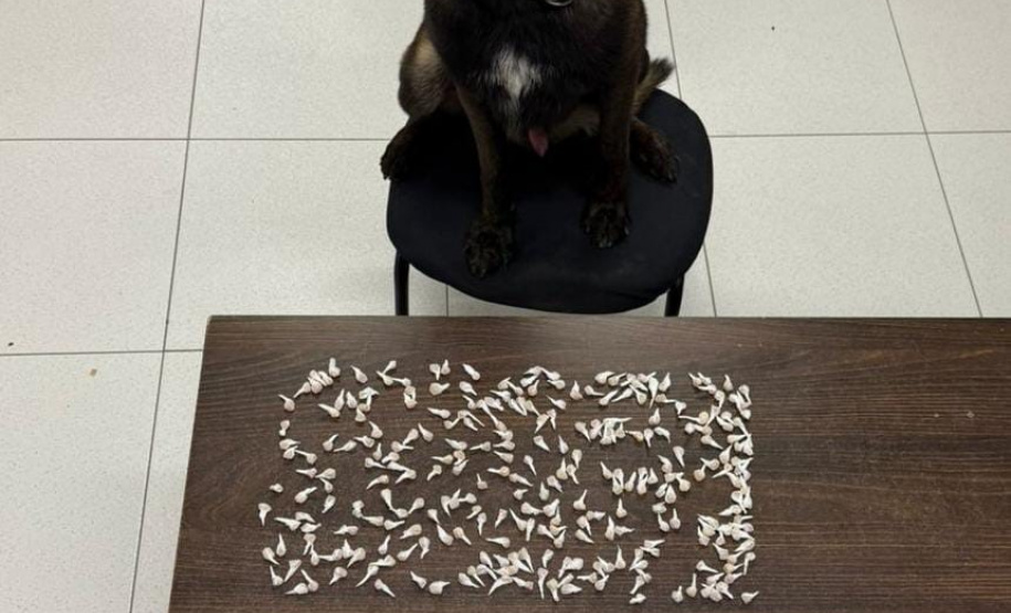 PMPR prende cinco homens por tráfico de drogas em Matinhos