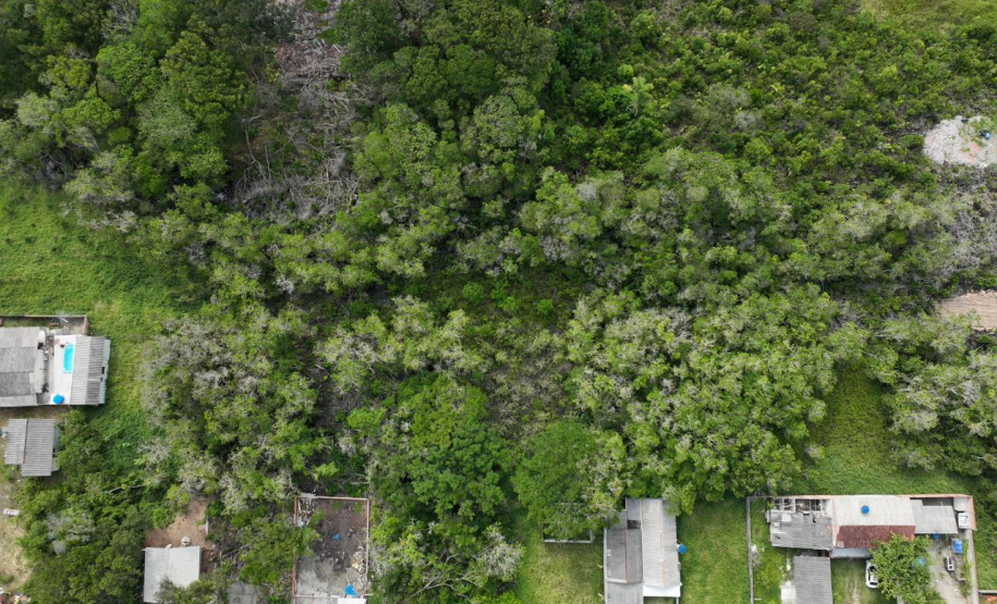 Polícia Científica intensifica perícias ambientais no Litoral durante o Verão Maior Paraná