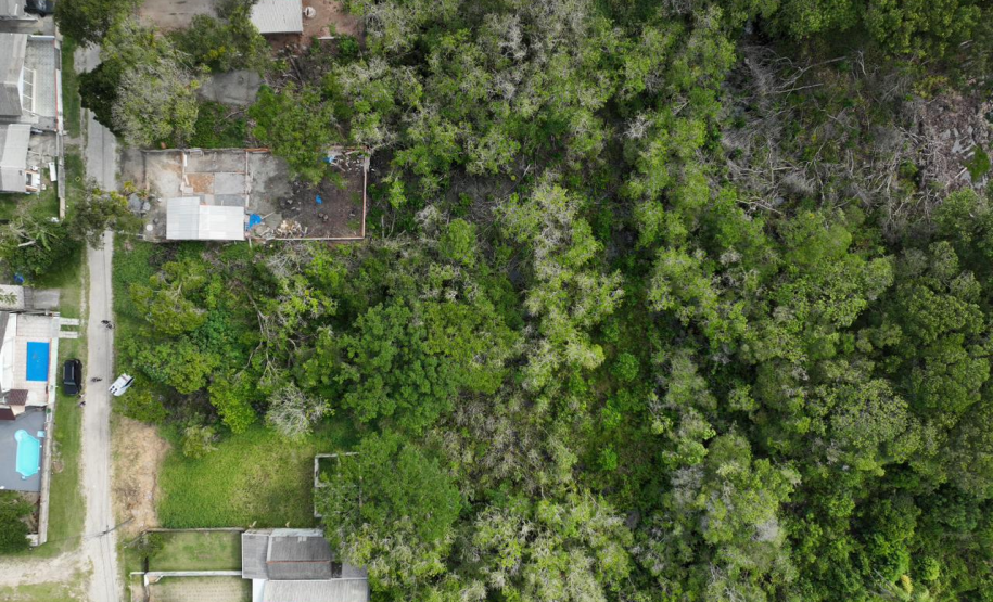 Polícia Científica intensifica perícias ambientais no Litoral durante o Verão Maior Paraná