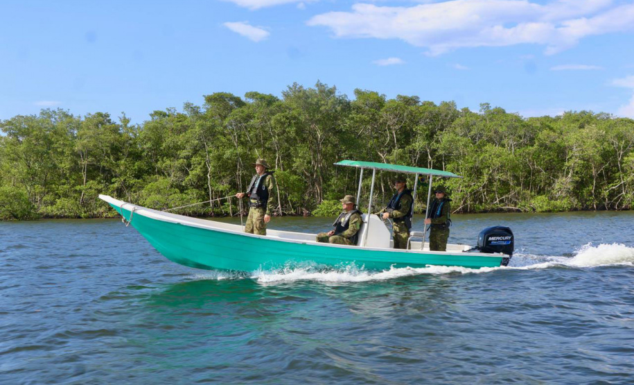 PMPR intensifica patrulhamento náutico para garantir proteção à fauna marinha no verão