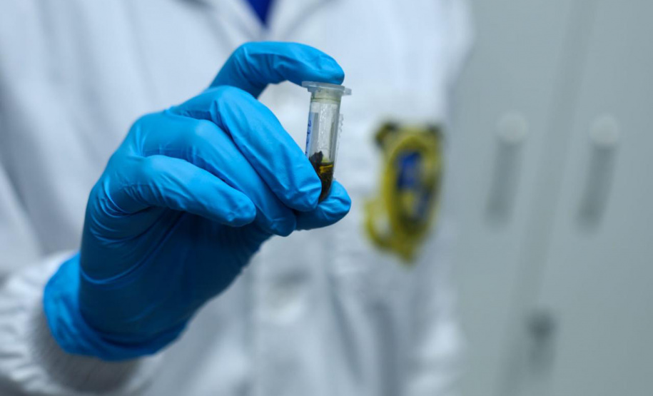 Com policiamento reforçado, Carnaval do Litoral teve redução de 44% nos roubos